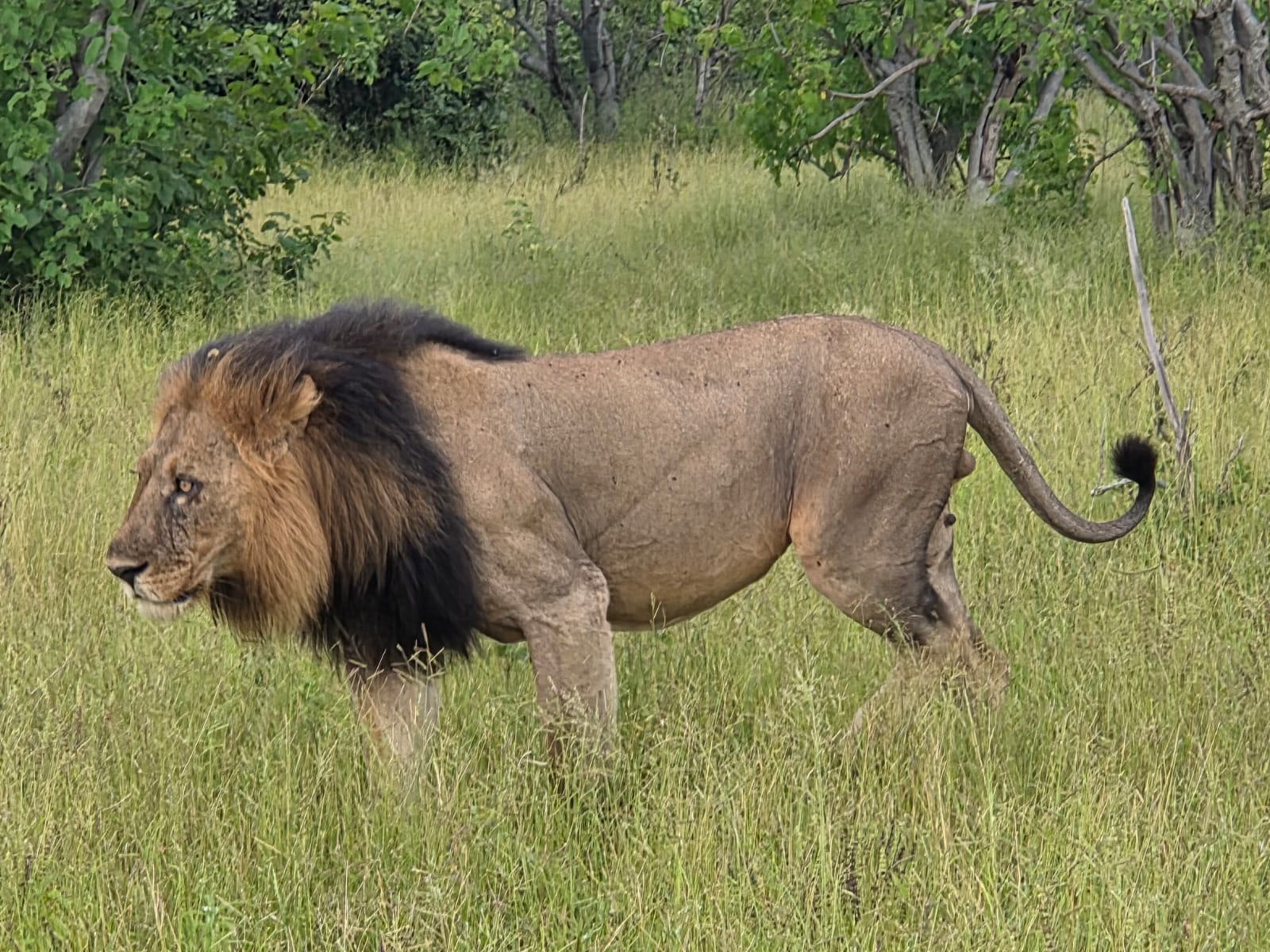 4 DAYS KAMPALA CITY TOUR AND MURCHISON FALLS NATIONAL PARK
